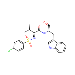 CC(C)[C@H](NS(=O)(=O)c1ccc(Cl)cc1)C(=O)N[C@H](C=O)Cc1c[nH]c2ccccc12 ZINC000013493514