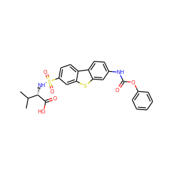 CC(C)[C@H](NS(=O)(=O)c1ccc2c(c1)sc1cc(NC(=O)Oc3ccccc3)ccc12)C(=O)O ZINC000043021611