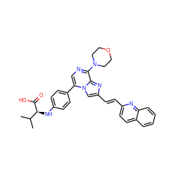 CC(C)[C@H](Nc1ccc(-c2cnc(N3CCOCC3)c3nc(/C=C/c4ccc5ccccc5n4)cn23)cc1)C(=O)O ZINC001772629765