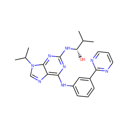 CC(C)[C@H](O)Nc1nc(Nc2cccc(-c3ncccn3)c2)c2ncn(C(C)C)c2n1 ZINC000103185610