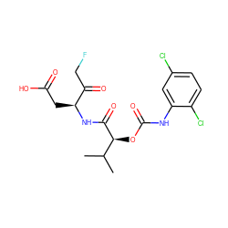 CC(C)[C@H](OC(=O)Nc1cc(Cl)ccc1Cl)C(=O)N[C@@H](CC(=O)O)C(=O)CF ZINC000028135868