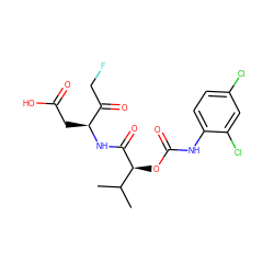 CC(C)[C@H](OC(=O)Nc1ccc(Cl)cc1Cl)C(=O)N[C@@H](CC(=O)O)C(=O)CF ZINC000028131318