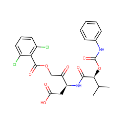 CC(C)[C@H](OC(=O)Nc1ccccc1)C(=O)N[C@@H](CC(=O)O)C(=O)COC(=O)c1c(Cl)cccc1Cl ZINC000028131360