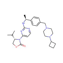 CC(C)[C@H]1COC(=O)N1c1ccnc(N[C@@H](C)c2ccc(CN3CCN(C4CCC4)CC3)cc2)n1 ZINC000142063196