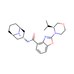 CC(C)[C@H]1COCCN1c1nc2c(C(=O)N[C@H]3C[C@@H]4CCC[C@H](C3)N4C)cccc2o1 ZINC000103265309