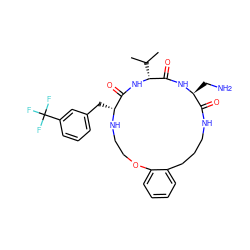 CC(C)[C@H]1NC(=O)[C@@H](Cc2cccc(C(F)(F)F)c2)NCCOc2ccccc2CCCNC(=O)[C@H](CN)NC1=O ZINC000028823451