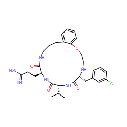 CC(C)[C@H]1NC(=O)[C@@H](Cc2cccc(Cl)c2)NCCOc2ccccc2CCCNC(=O)[C@H](CCC(=N)N)NC1=O ZINC000028823466