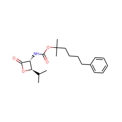 CC(C)[C@H]1OC(=O)[C@@H]1NC(=O)OC(C)(C)CCCCc1ccccc1 ZINC000148818369