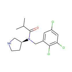 CC(C)C(=O)N(Cc1cc(Cl)cc(Cl)c1Cl)[C@H]1CCNC1 ZINC000035950086