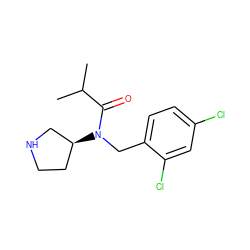 CC(C)C(=O)N(Cc1ccc(Cl)cc1Cl)[C@H]1CCNC1 ZINC000040874947