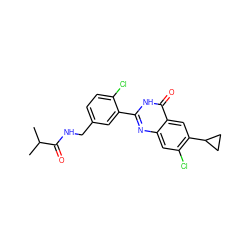 CC(C)C(=O)NCc1ccc(Cl)c(-c2nc3cc(Cl)c(C4CC4)cc3c(=O)[nH]2)c1 ZINC000299839911