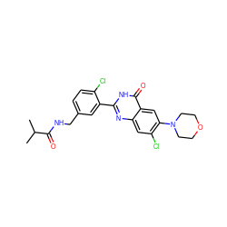 CC(C)C(=O)NCc1ccc(Cl)c(-c2nc3cc(Cl)c(N4CCOCC4)cc3c(=O)[nH]2)c1 ZINC000299832448