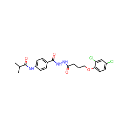 CC(C)C(=O)Nc1ccc(C(=O)NNC(=O)CCCOc2ccc(Cl)cc2Cl)cc1 ZINC000002869209