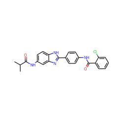 CC(C)C(=O)Nc1ccc2[nH]c(-c3ccc(NC(=O)c4ccccc4Cl)cc3)nc2c1 ZINC000038147884