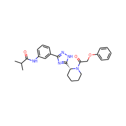 CC(C)C(=O)Nc1cccc(-c2n[nH]c([C@H]3CCCCN3C(=O)COc3ccccc3)n2)c1 ZINC000143991882