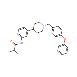 CC(C)C(=O)Nc1cccc(C2CCN(Cc3ccc(Oc4ccccc4)cc3)CC2)c1 ZINC000028710583