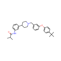 CC(C)C(=O)Nc1cccc(C2CCN(Cc3cccc(Oc4ccc(C(C)(C)C)cc4)c3)CC2)c1 ZINC000028710577