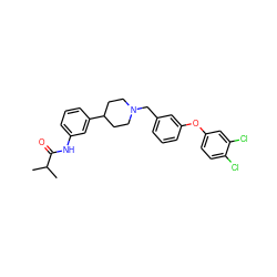 CC(C)C(=O)Nc1cccc(C2CCN(Cc3cccc(Oc4ccc(Cl)c(Cl)c4)c3)CC2)c1 ZINC000028710581