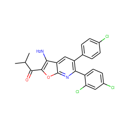 CC(C)C(=O)c1oc2nc(-c3ccc(Cl)cc3Cl)c(-c3ccc(Cl)cc3)cc2c1N ZINC000038909681