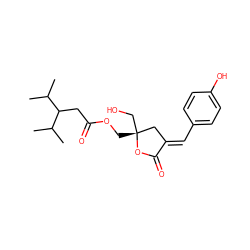 CC(C)C(CC(=O)OC[C@@]1(CO)C/C(=C\c2ccc(O)cc2)C(=O)O1)C(C)C ZINC000013704251