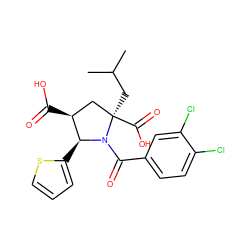 CC(C)C[C@@]1(C(=O)O)C[C@H](C(=O)O)[C@H](c2cccs2)N1C(=O)c1ccc(Cl)c(Cl)c1 ZINC000028128029