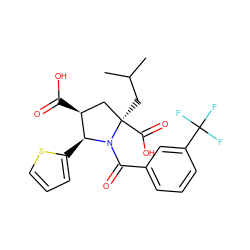 CC(C)C[C@@]1(C(=O)O)C[C@H](C(=O)O)[C@H](c2cccs2)N1C(=O)c1cccc(C(F)(F)F)c1 ZINC000028339333