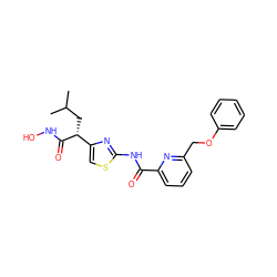 CC(C)C[C@@H](C(=O)NO)c1csc(NC(=O)c2cccc(COc3ccccc3)n2)n1 ZINC000028458908