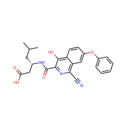 CC(C)C[C@@H](CC(=O)O)NC(=O)c1nc(C#N)c2cc(Oc3ccccc3)ccc2c1O ZINC000146693322