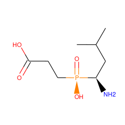 CC(C)C[C@@H](N)[P@](=O)(O)CCC(=O)O ZINC000013522048