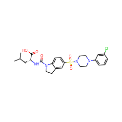 CC(C)C[C@@H](NC(=O)N1CCc2cc(S(=O)(=O)N3CCN(c4cccc(Cl)c4)CC3)ccc21)C(=O)O ZINC000118537747