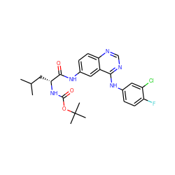 CC(C)C[C@@H](NC(=O)OC(C)(C)C)C(=O)Nc1ccc2ncnc(Nc3ccc(F)c(Cl)c3)c2c1 ZINC001772601520