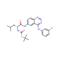 CC(C)C[C@@H](NC(=O)OC(C)(C)C)C(=O)Nc1ccc2ncnc(Nc3cccc(Br)c3)c2c1 ZINC001772572136