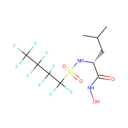 CC(C)C[C@@H](NS(=O)(=O)C(F)(F)C(F)(F)C(F)(F)C(F)(F)F)C(=O)NO ZINC000010450334