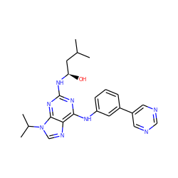 CC(C)C[C@@H](O)Nc1nc(Nc2cccc(-c3cncnc3)c2)c2ncn(C(C)C)c2n1 ZINC000103186826