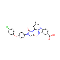 CC(C)C[C@@H](c1nc2ccc(C(=O)O)cc2n1C)N1C(=O)CN(c2ccc(Oc3ccc(Cl)cc3)cc2)C1=O ZINC001772652263