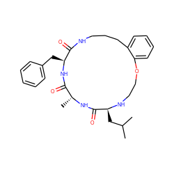 CC(C)C[C@@H]1NCCOc2ccccc2CCCNC(=O)[C@H](Cc2ccccc2)NC(=O)[C@@H](C)NC1=O ZINC000202070462