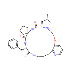 CC(C)C[C@@H]1NCCOc2cccnc2CCCNC(=O)[C@H](Cc2ccccc2)NC(=O)C2(CCCC2)NC1=O ZINC001772616459