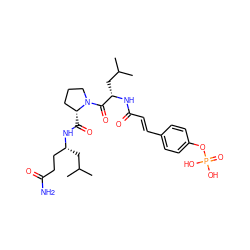 CC(C)C[C@H](CCC(N)=O)NC(=O)[C@@H]1CCCN1C(=O)[C@H](CC(C)C)NC(=O)/C=C/c1ccc(OP(=O)(O)O)cc1 ZINC000049708936