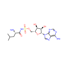 CC(C)C[C@H](N)C(=O)NS(=O)(=O)OC[C@H]1O[C@@H](n2cnc3c(N)ncnc32)[C@H](O)[C@@H]1O ZINC000033821383