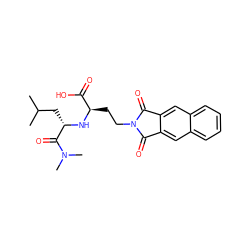 CC(C)C[C@H](N[C@H](CCN1C(=O)c2cc3ccccc3cc2C1=O)C(=O)O)C(=O)N(C)C ZINC000013734722