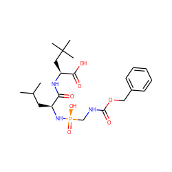 CC(C)C[C@H](N[P@](=O)(O)CNC(=O)OCc1ccccc1)C(=O)N[C@@H](CC(C)(C)C)C(=O)O ZINC000299844532