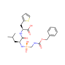 CC(C)C[C@H](N[P@](=O)(O)CNC(=O)OCc1ccccc1)C(=O)N[C@@H](Cc1cccs1)C(=O)O ZINC000299844566