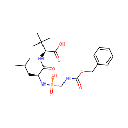 CC(C)C[C@H](N[P@](=O)(O)CNC(=O)OCc1ccccc1)C(=O)N[C@H](C(=O)O)C(C)(C)C ZINC000299844712