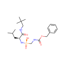 CC(C)C[C@H](N[P@](=O)(O)CNC(=O)OCc1ccccc1)C(=O)NCC(C)(C)C ZINC000098208171