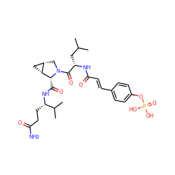 CC(C)C[C@H](NC(=O)/C=C/c1ccc(OP(=O)(O)O)cc1)C(=O)N1C[C@H]2C[C@H]2[C@H]1C(=O)N[C@@H](CCC(N)=O)C(C)C ZINC000049695317