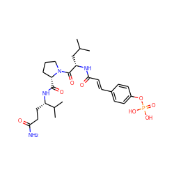 CC(C)C[C@H](NC(=O)/C=C/c1ccc(OP(=O)(O)O)cc1)C(=O)N1CCC[C@H]1C(=O)N[C@@H](CCC(N)=O)C(C)C ZINC000049709075