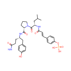 CC(C)C[C@H](NC(=O)/C=C/c1ccc(OP(=O)(O)O)cc1)C(=O)N1CCC[C@H]1C(=O)N[C@@H](CCC(N)=O)Cc1ccc(O)cc1 ZINC000049695374