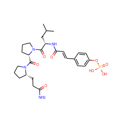 CC(C)C[C@H](NC(=O)/C=C/c1ccc(OP(=O)(O)O)cc1)C(=O)N1CCC[C@H]1C(=O)N1CCC[C@H]1CCC(N)=O ZINC000049710671