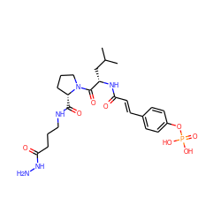 CC(C)C[C@H](NC(=O)/C=C/c1ccc(OP(=O)(O)O)cc1)C(=O)N1CCC[C@H]1C(=O)NCCCC(=O)NN ZINC000049708416