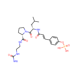 CC(C)C[C@H](NC(=O)/C=C/c1ccc(OP(=O)(O)O)cc1)C(=O)N1CCC[C@H]1C(=O)NCCNC(N)=O ZINC000049709422